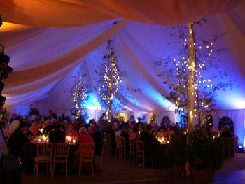 Decorative Trees